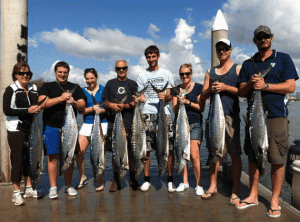 BKs Gold Coast Fishing Charters - Holiday Find